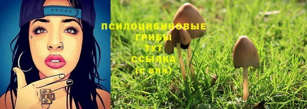 ALPHA PVP Кулебаки
