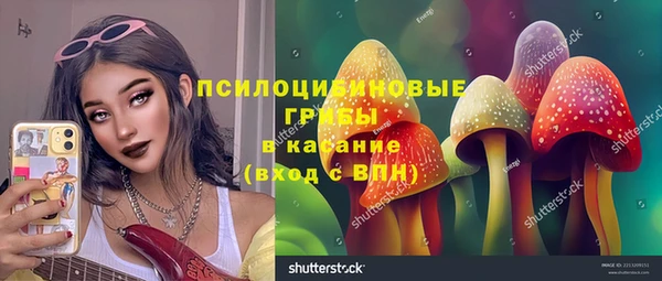 прущая мука Абаза