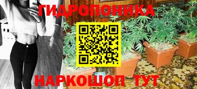 СК Аргун