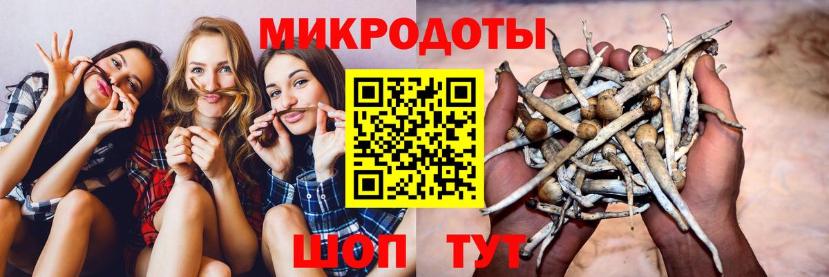 Энгельс  Псилоцибиновые грибы GOLDEN TEACHER  Вход с VPN 