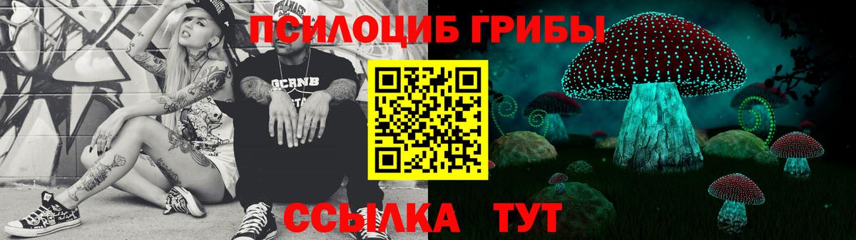 Псилоцибиновые грибы Psilocybe Энгельс