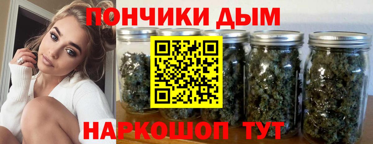 Бошки Шишки план Энгельс